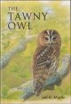 THE TAWNY OWL. By Jeff R. Martin.