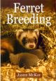 FERRET BREEDING. By James McKay.