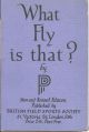WHAT FLY IS THAT? by P.P.P.