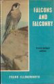 FALCONS AND FALCONRY. By Frank Illingworth.