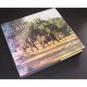 DESERT ADVENTURE: IN SEARCH OF WILDERNESS IN NAMIBIA AND BOTSWANA. By Paul Augustinus.