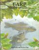CARP: THE QUEST FOR THE QUEEN. By John Bailey and Martyn Page.
