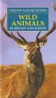 WILD ANIMALS OF BRITAIN and EUROPE. By Helga Hoffmann. Translated by Martin Walters. Scientific Consultant Dr. Gordon Corbet. COLLINS NATURE GUIDES.