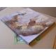 THE WOODCOCK: ARTISTS' IMPRESSIONS. By Simon Gudgeon and others.