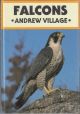 FALCONS. By Andrew Village.