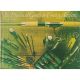 THE PRACTICAL GUIDE TO COARSE ANGLING. By Alan Wrangles. With drawings by Brian Robertshaw.