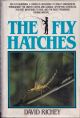 THE FLY HATCHES...