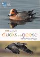 DUCKS AND GEESE. By Marianne Taylor. RSPB Spotlight series.