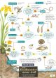 THE FRESHWATER NAME TRAIL: A KEY TO THE INVERTEBRATES OF PONDS AND STREAMS. A Field Studies Council publication. Laminated fold-out chart.