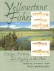 YELLOWSTONE FISHES: ECOLOGY, HISTORY AND ANGLING IN THE PARK. By John D. Varley and Paul Schullery.