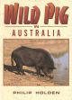WILD PIG IN AUSTRALIA. By Philip Holden.