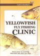 CURTIS and BOULTON'S YELLOWFISH FLY FISHING CLINIC. By Paul Curtis and Jonathan Boulton. Illustrations by Sarah Boulton.