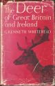 THE DEER OF GREAT BRITAIN AND IRELAND: AN ACCOUNT OF THEIR HISTORY, STATUS AND DISTRIBUTION. By G. Kenneth Whitehead.