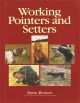 WORKING POINTERS AND SETTERS. By David Hudson.