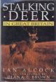 STALKING DEER IN GREAT BRITAIN. By Ian C.N. Alcock.