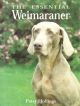 THE ESSENTIAL WEIMARANER. By Patsy Hollings.