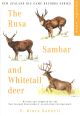 THE RUSA, THE SAMBAR AND THE WHITETAIL: VOLUME IV IN THE SERIES OF NEW ZEALAND BIG GAME TROPHY RECORDS. Written and compiled by D. Bruce Banwell, on behalf of the New Zealand Deerstalkers' Association, Incorporated.