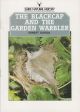 THE BLACKCAP AND THE GARDEN WARBLER. By Ernest Garcia. Shire Natural History series no. 43.