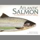 ATLANTIC SALMON: AN ILLUSTRATED NATURAL HISTORY. Paintings by Roderick Sutterby. Words by Malcolm Greenhalgh.