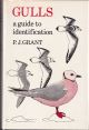 GULLS: A GUIDE TO IDENTIFICATION. By P.J. Grant.