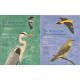 THE BIRDS OF THE WESTERN PALEARCTIC: CONCISE EDITION. BASED ON THE HANDBOOK OF THE BIRDS OF EUROPE... Two volume set. By D.W. Snow, C.M. Perrins and others.