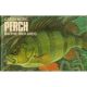 CATCH MORE PERCH. By Barrie Rickards.