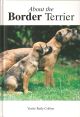 ABOUT THE BORDER TERRIER. By Verite Reily Collins.