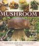 MUSHROOM. By Johnny Acton and Nick Sandler.