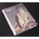 NORTH AMERICAN FALCONRY AND HUNTING HAWKS. By Frank Lyman Beebe and Harold Melvin Webster. Silver anniversary edition.