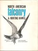 NORTH AMERICAN FALCONRY AND HUNTING HAWKS. By Frank Lyman Beebe and Harold Melvin Webster.
