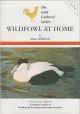 WILDFOWL AT HOME. By Alan Birkbeck.