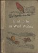 BIRD LIFE IN WILD WALES. By J.A. Walpole-Bond. Illustrated with photographs by Oliver G. Pike. Second impression.