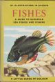 FISHES: A GUIDE TO EUROPEAN SEA FISHES AND FISHING. By Tony Burnand. A Little Guide in Colour series.
