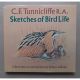 SKETCHES OF BIRD LIFE. By C.F. Tunnicliffe R.A. Introduction and commentary by Robert Gillmor.