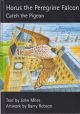 HORUS THE PEREGRINE FALCON: CATCH THE PIGEON. By John Miles. My Wee Books series.
