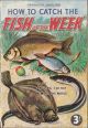 HOW TO CATCH THE FISH OF THE WEEK. MORE ADVANCED ANGLING... BY THE ANGLING EDITOR 