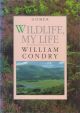 WILDLIFE, MY LIFE. By William Condry.