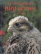 UNDERSTANDING THE BIRD OF PREY. By Nick Fox. First Edition.