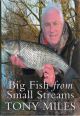 BIG FISH FROM SMALL STREAMS. By Tony Miles.
