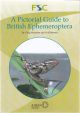 A PICTORIAL GUIDE TO BRITISH EPHEMEROPTERA. By Craig Macadam and Cyril Bennett. A Field Studies Council publication.