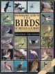 PHOTOGRAPHIC GUIDE TO THE BIRDS OF BRITAIN AND EUROPE. By Hakan Delin and Lars Svensson.