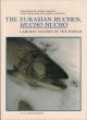 THE EURASIAN HUCHEN, HUCHO HUCHO: LARGEST SALMON IN THE WORLD. Perspectives in Vertebrate Science Volume 5.