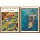 ART OF ANGLING JOURNAL. Volume 2, issue 4. By Paul Schmookler and Ingrid V. Sils.