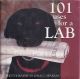101 USES FOR A LAB. Photgraphy by Dale C. Spartas.