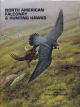 NORTH AMERICAN FALCONRY AND HUNTING HAWKS. By Frank L. Beebe and Harold M. Webster.