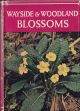 WAYSIDE AND WOODLAND BLOSSOMS: A guide to British wild flowers. By Edward Step, F.L.S. Revised by R.A. Blakelock. Second Series...
