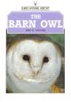 THE BARN OWL. By Iain R. Taylor. Shire Natural History series no. 42.