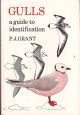 GULLS: A GUIDE TO IDENTIFICATION. By P.J. Grant. Illustrated by the author. Second edition.