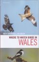 WHERE TO WATCH BIRDS IN WALES. 5th edition. By David Saunders and Jon Green.
