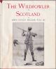 THE WILDFOWLER IN SCOTLAND. By John Guille Millais, F.Z.S., etc.
